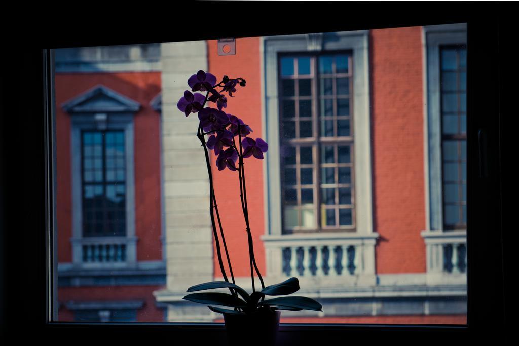 Appart-Hotel Leopold Liege Centre Rum bild